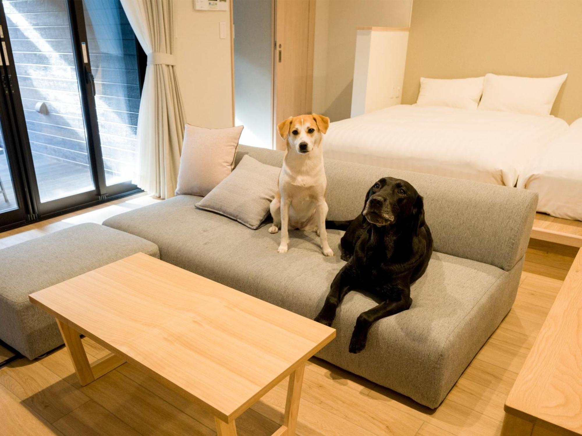 Rakuten Stay Nikko Hoden Capacity Of 8 Persons Экстерьер фото